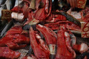 hong-kong-mercato-pesce-sangue